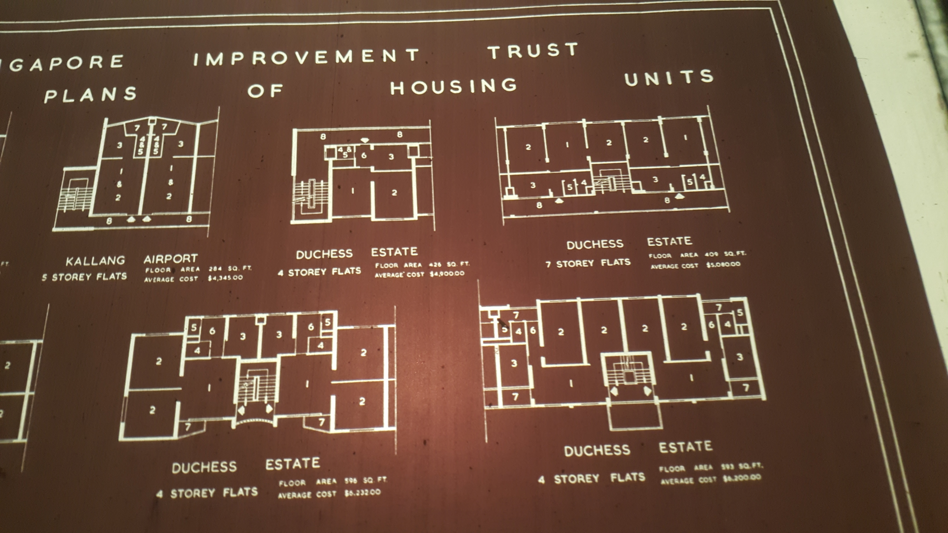SIT Annual Report 1958